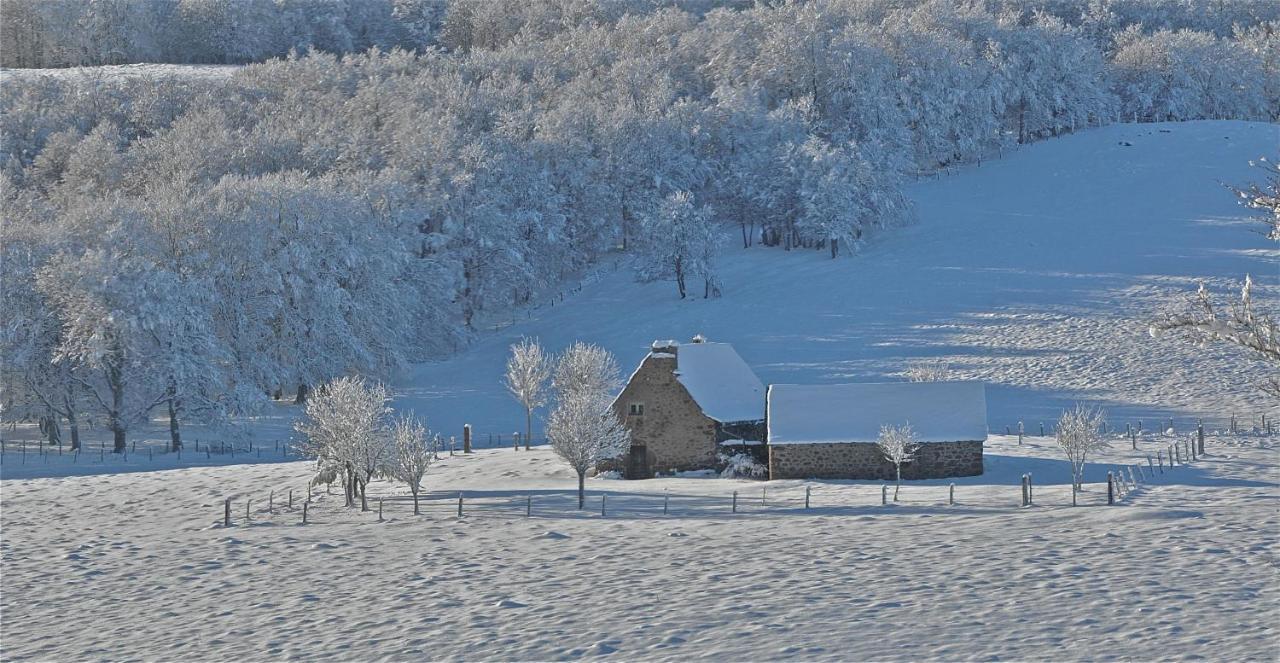 Aux Portes D'Aubrac Studio 2 Personnes Bed & Breakfast Condom-d'Aubrac Exterior foto