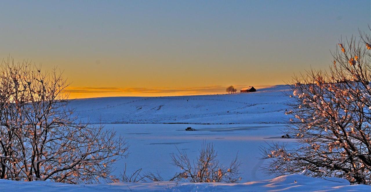 Aux Portes D'Aubrac Studio 2 Personnes Bed & Breakfast Condom-d'Aubrac Exterior foto